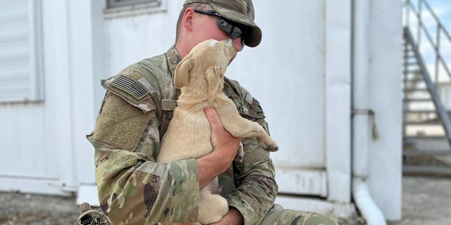 Sweet puppy — named Doc — gives his rescuer, Army Specialist Howe, a happy kiss.